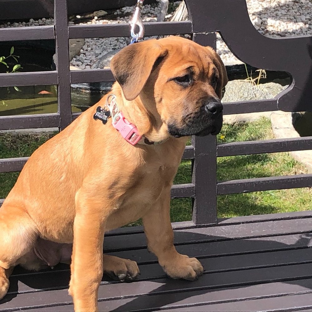 My new baby!!! She's 18 Weeks old now!! NOT 4 sale